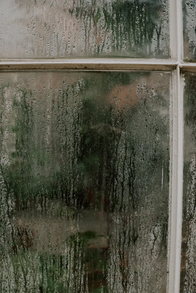 Condensation running down the inside of a window pane on a humid morning