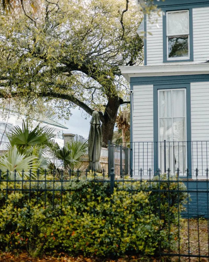 Raised house behind an iron fence and a live oak