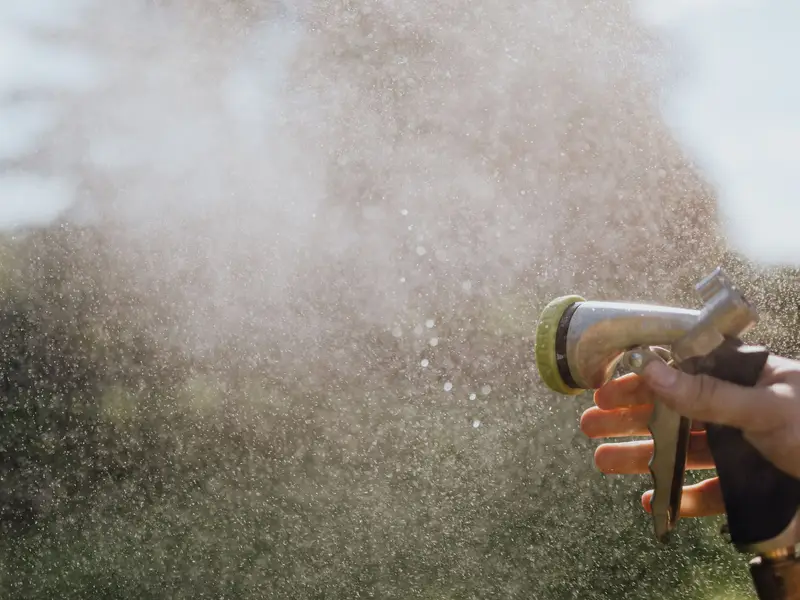 Garden hose spraying water in morning light